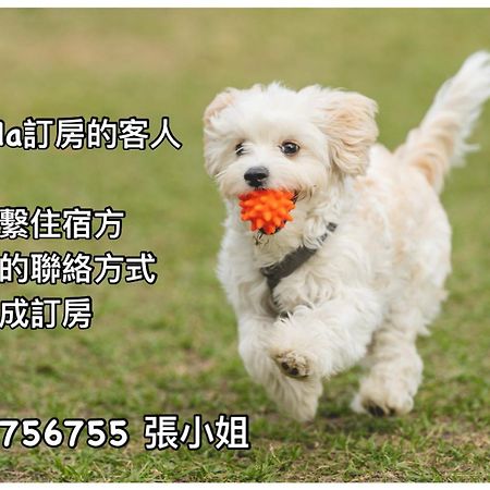 花莲市海边名人50住宿加早餐旅馆 外观 照片